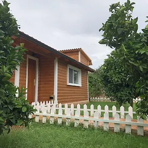 The Mussel House , Ксамил Албания
